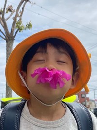 最近は、ツツジの匂いや蜜を吸うのにもハマっているようだ(和PHOTOGRAPHさん撮影)