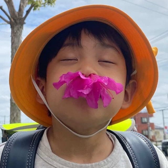 最近は、ツツジの匂いや蜜を吸うのにもハマっているようだ(和PHOTOGRAPHさん撮影)
