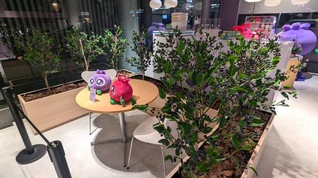 『BLUEBERRY CAFE』の様子（営業時間外の撮影）④ ※筆者撮影