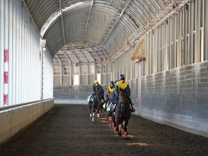 蹄の先に国境はない　競走馬を「つくる」町は馬によって「つくられ」てもいる