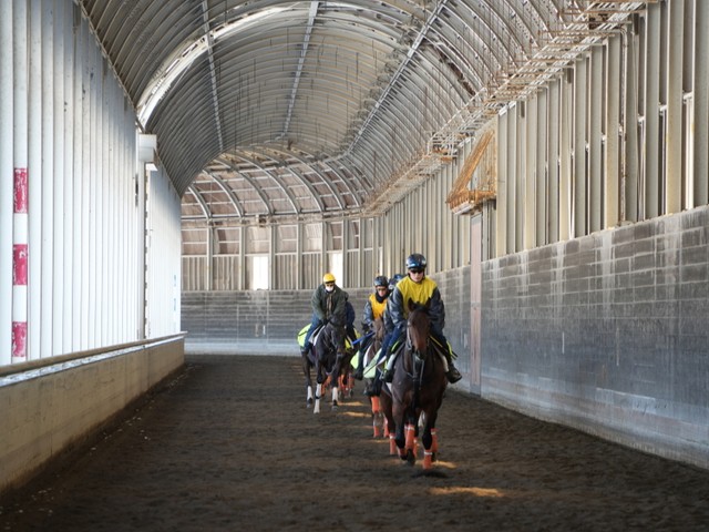 蹄の先に国境はない　競走馬を「つくる」町は馬によって「つくられ」てもいる