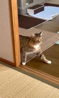 滑る！（うめのこんぶさん提供、Xよりキャプチャ撮影）
