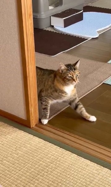 滑る！（うめのこんぶさん提供、Xよりキャプチャ撮影）