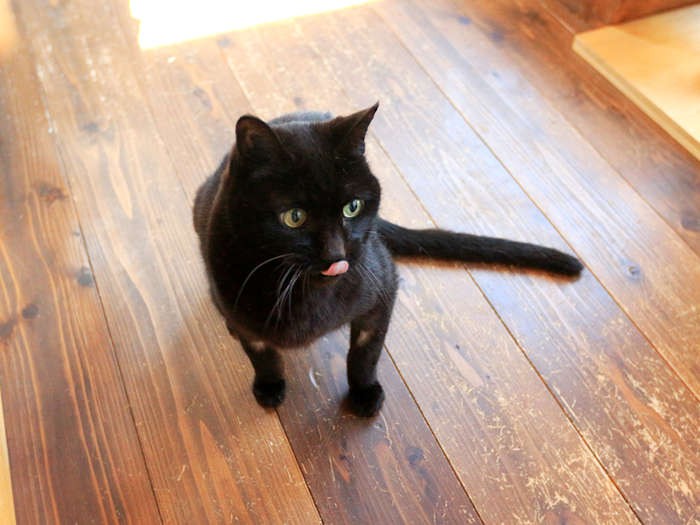 いくつになっても遊びたいのです