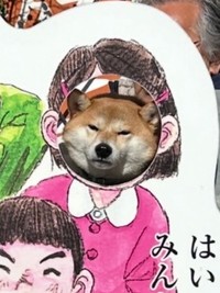 飼い主がウキウキで撮った写真を見ると……イヌ、全然笑ってなかった！（画像提供：柴犬ちびこさん）