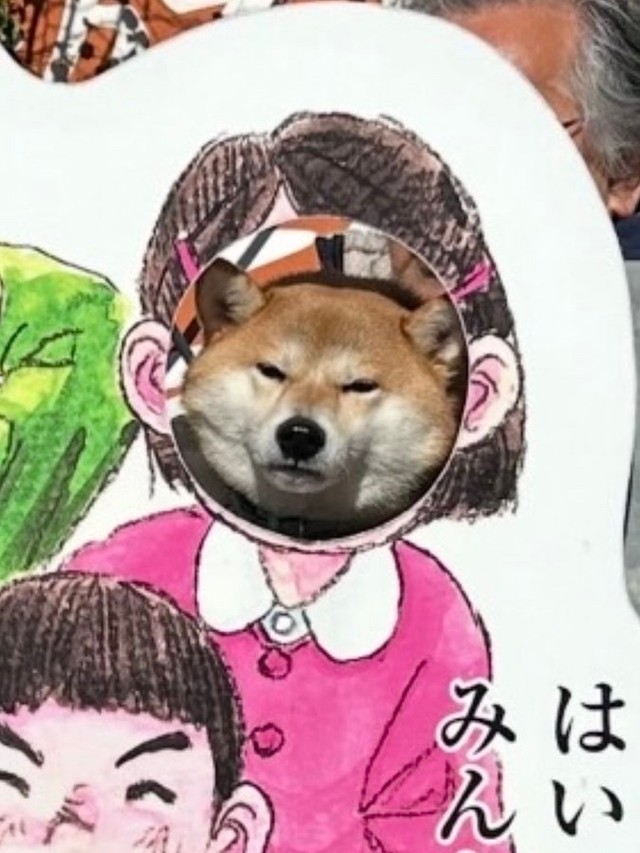 飼い主がウキウキで撮った写真を見ると……イヌ、全然笑ってなかった！（画像提供：柴犬ちびこさん）