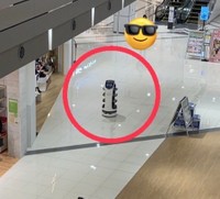 猫型配膳ロボットことBellaBotをアップで見ると…（提供画像）