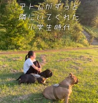 隣にいてくれてありがとう。（提供：＠americanbully_atom0106さん）
