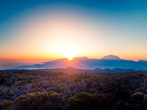 手に職がなく、精神を消耗した2021年から、自分を愛する新年へ