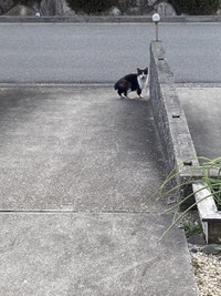 発見した当時の様子