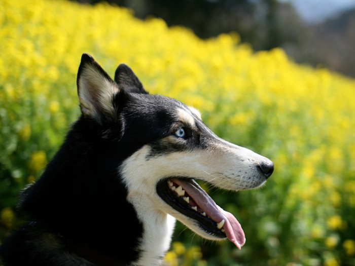 マザー牧場にて