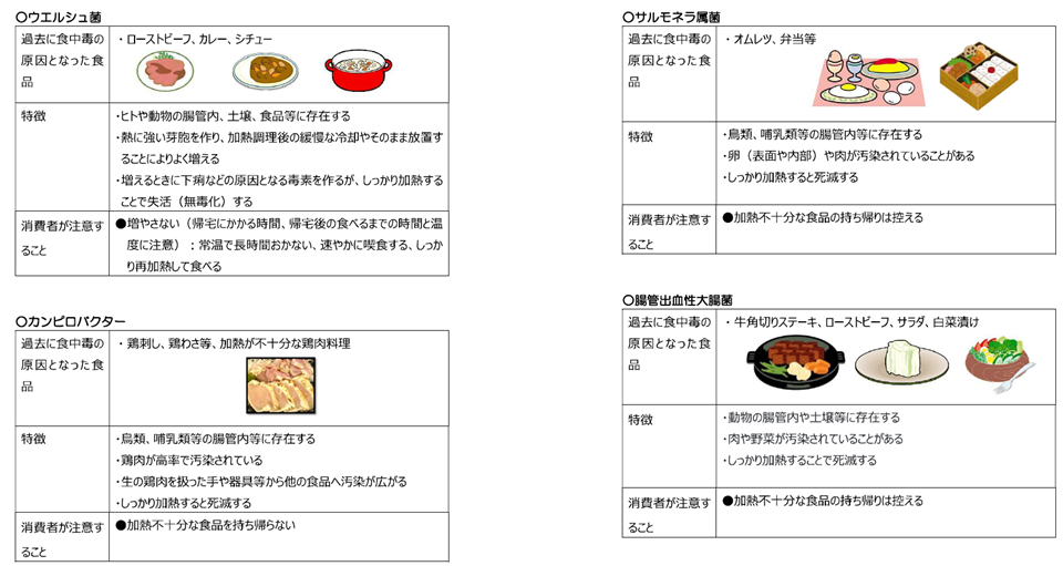 消費者向けの食中毒細菌等の特徴とその対応チラシ