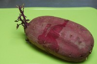 保存していたさつまいも、気づいたら芽が出ていた…※画像はイメージです（PhotoAC）