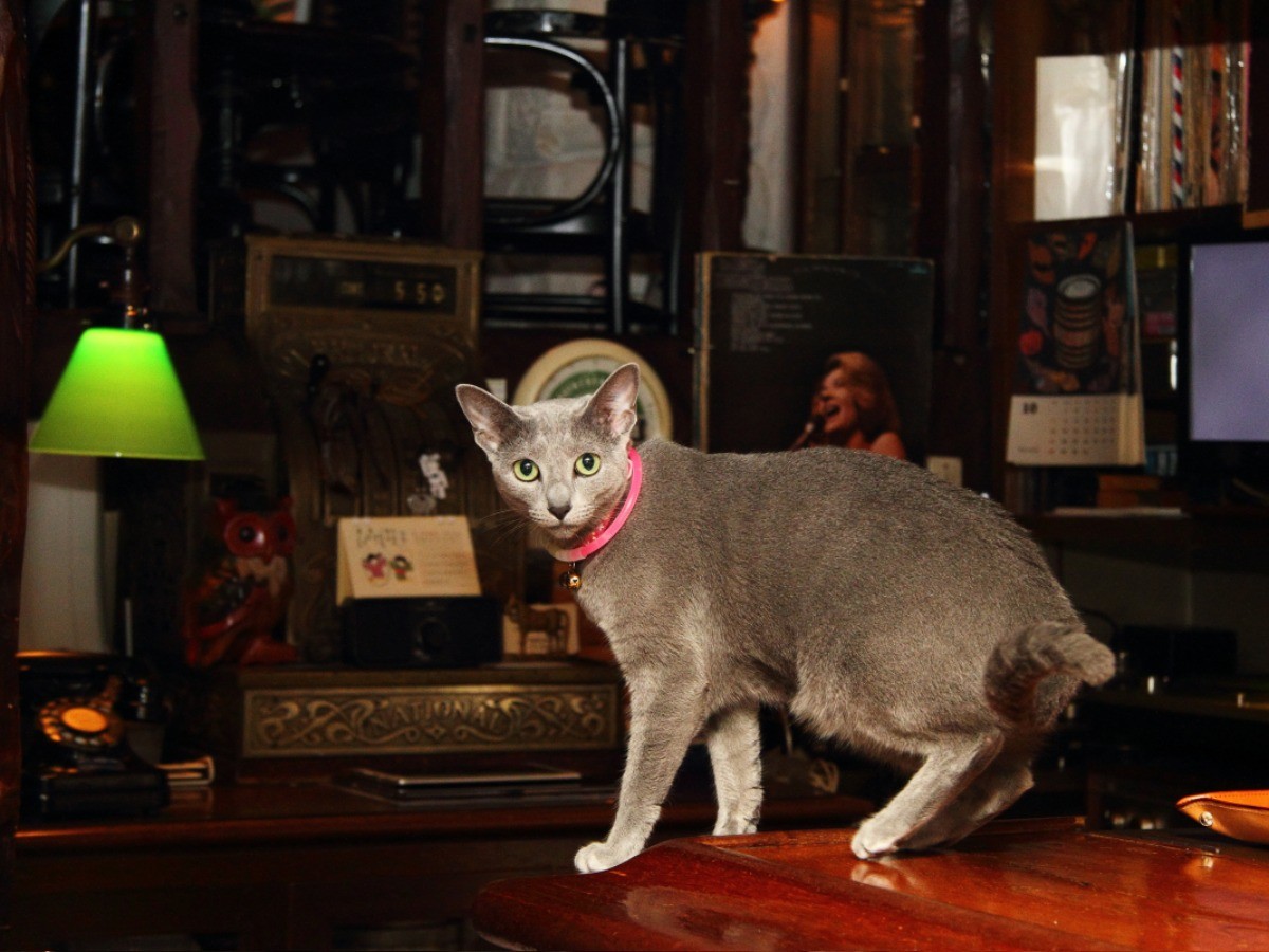 10e0a238a56a9b1349e8e82bc4b5d8