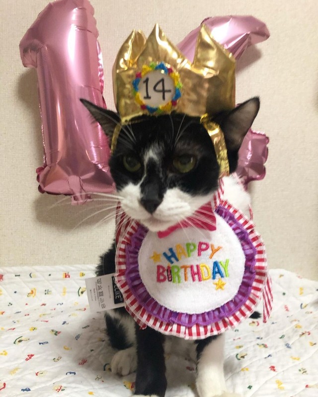 無事に14歳の誕生日を迎えることができた