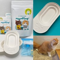 猫用簡単採尿器「nyanpling」（商標登録済）のセット。猫がおしっこの体勢に入ったらお尻の下に容器をそっと差し入れる（堀江さん提供）