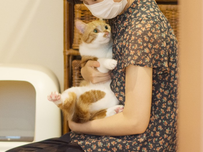 「ねえ、このままソファーの下に連れてってくれない？」（小林写函撮影）