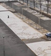 カニ、タコ、海藻、クラゲ、魚、カメ…いろんな種類の生き物を次々と描いていきました。