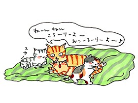 猫たちの立派な「お母さん」をつとめた　茶トラのラバーちゃん