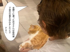 猛暑の夜、怖い話で涼もうと思ったら　愛猫ぐっぴーの仕返しが…