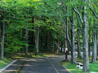 夏の札幌。彼と一緒に訪れたことで、過去は新たな思い出になった