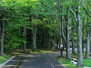 夏の札幌。彼と一緒に訪れたことで、過去は新たな思い出になった