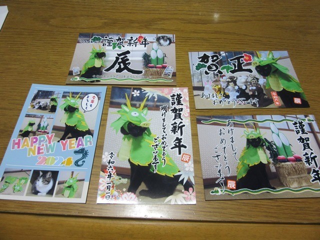 これまでに送った辰のコスプレシリーズ