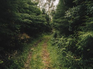 夢見る少女じゃいられない、それなりOLのジレンマ