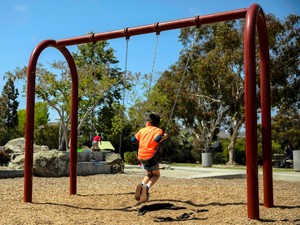 アメリカの少子化「子どものいない猫好き女性」が原因？　そんな単純なことではない