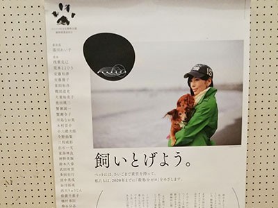 動物愛護週間に思い出す　愛犬家・川島なお美さんの存在