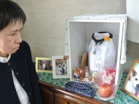 犬や猫とのこれから　出会い方どうなる？ペットをめぐる環境は