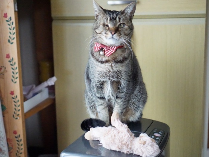 「助けてくれてありがとう！！」