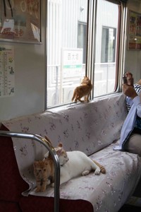 ２０１７年に運行された養老鉄道のねこカフェ列車