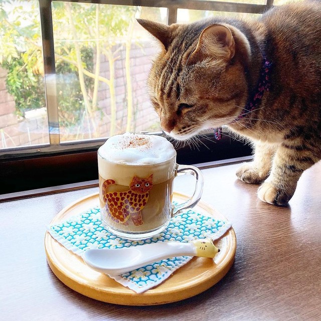 コーヒーのあわからうまれたこねこ （写真5/7｜“刺繍表現”に着目