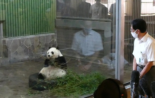 竹を食べる姿を報道陣に披露。「タンタンは神戸の太陽のような存在。きょうが自分の誕生日と分かっているような笑顔ですね」と園長