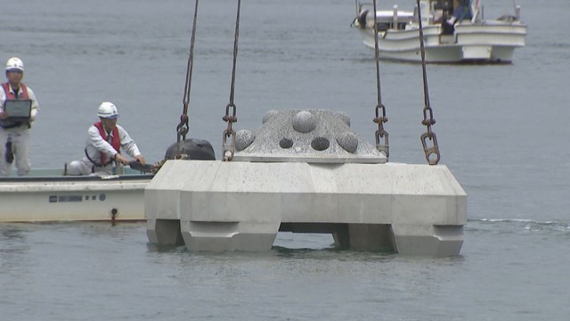 潮の流れをコントロールする人工魚礁を沈めて藻場を造成するプロジェクト　高松市庵治町　2024年5月