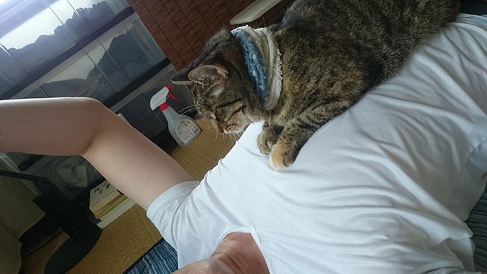 青年の家でくつろぐチャバ