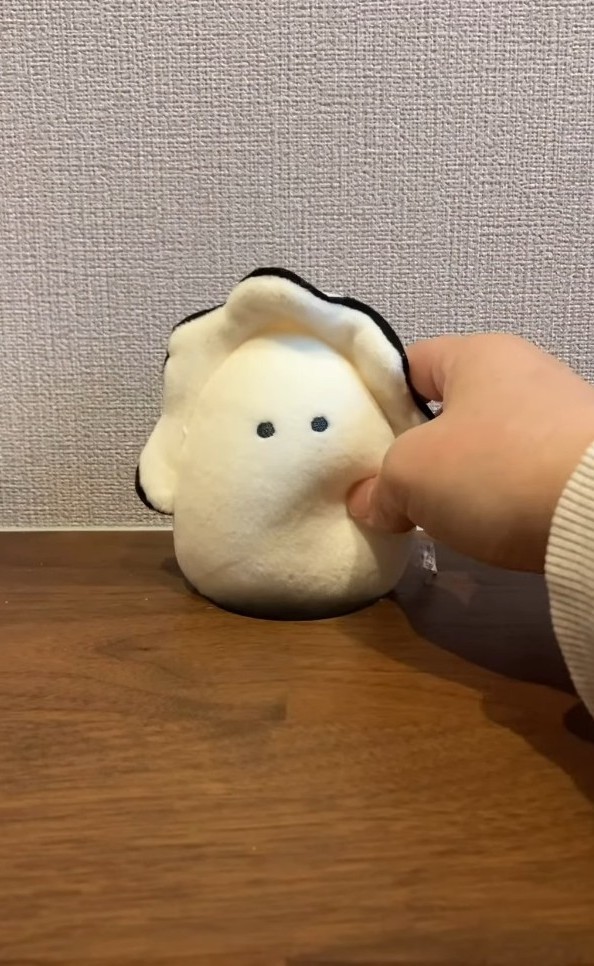 牡蠣のぬいぐるみを置いてみると……（「保護猫あぶら&ぽんず」さん提供、Instagramよりキャプチャ撮影）