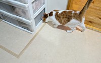 チェストに隠れていたため、床下収納の取っ手はふだん見えませんでした（画像提供：まりもんさん）