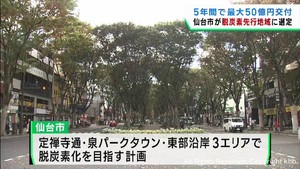 環境省が仙台市を脱炭素先行地域に選定　３エリアで脱炭素化を目指す計画