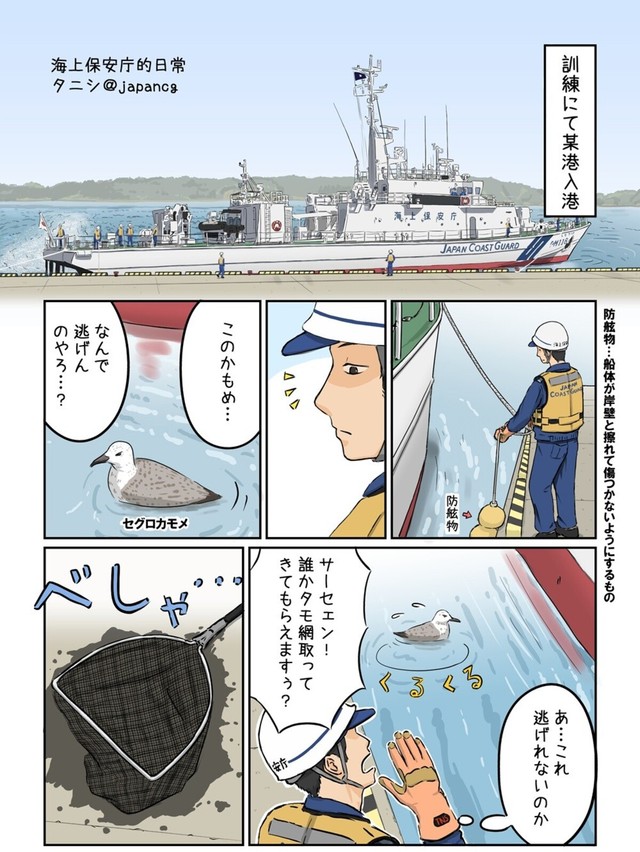【漫画】『かもめを拾った話』1（タニシさん提供）