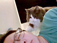 「痛いよ」 飼い主さんに声をかけられた れたすくん（画像提供：やどランドはっぴー村theふぁいなるさん）