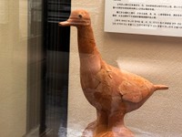 こんな埴輪を古墳時代に作っていたなんて…（ちゃーはんさん提供）