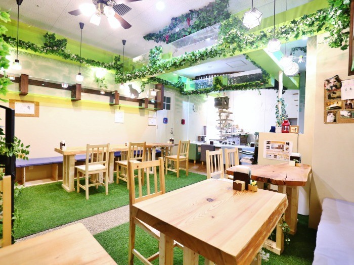 奥のふれあいスペースから天井のキャットウォークをつたって猫が（気が向けば）出てくる。カフェでカルチャースクール（猫グッズ作りなど）も催し中