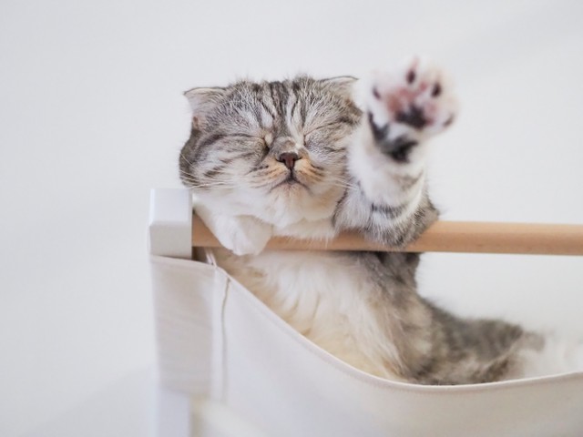 助けて～(提供写真)
