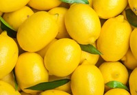 香りや風味が豊かで、酸味も爽やかな「国産レモン」。※画像はイメージです（BillionPhotos.com/stock.adobe.com）