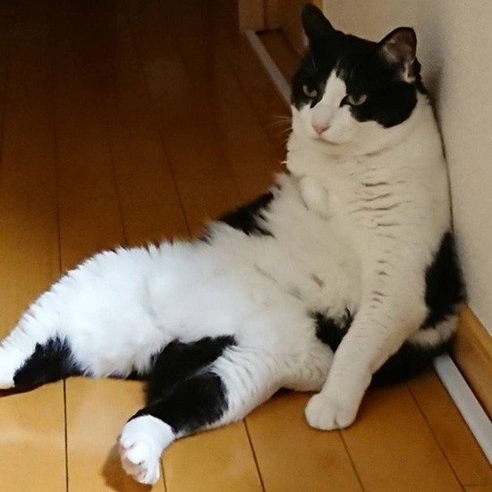 「のんびり気楽にいこうよ」（横野さん提供）