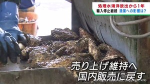 福島第一原発の処理水海洋放出から１年　宮城県の漁業への影響は