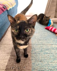 おもちゃで遊んでご満悦