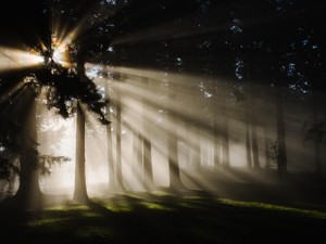 「お年玉はいらない」と年下のいとこ。学生の私も未来に目を向ける